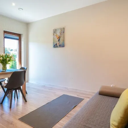 Przy Termach Domki Pokoje Apartamenty Szaflary Zewnętrze zdjęcie