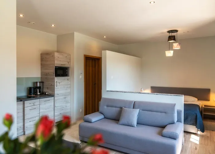 Apartamenty, Pokoje Przy Termach - 70 M Termy Szaflary, 150 M Goracy Potok