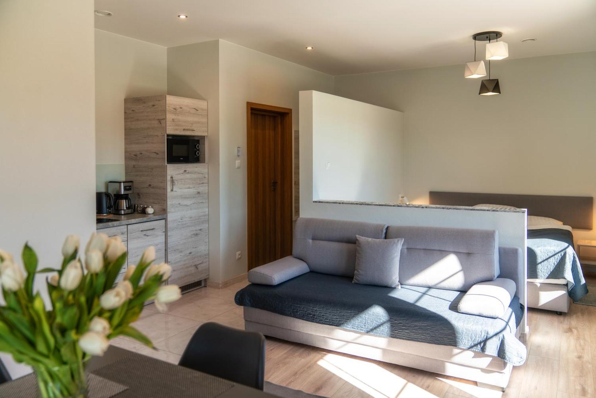 Apartamenty, Pokoje Przy Termach - 70 M Termy Szaflary, 150 M Goracy Potok *